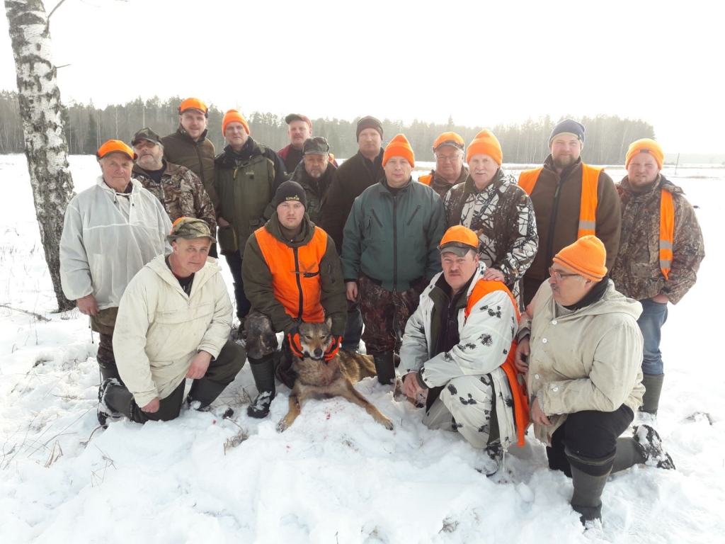 Mednieku kluba “Trikāta” aicinājumam otrdien atsaucās 20 mednieki un viens dzinējs. Veiksminieka egles zariņu šajās medībās saņēma Mārtiņš Voitčonoks.                                                                                                   
Autors:  NO PERSONĪGĀ ARHĪVA