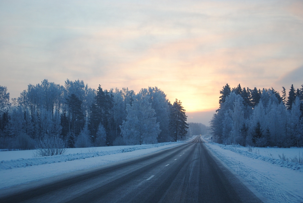 Autors: Sarmīte Ozola