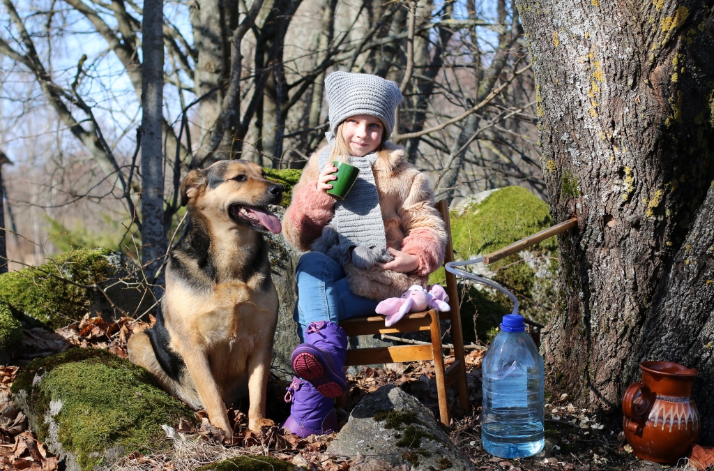 Pavasarī koku stumbros plūst īsta dzīvības straume. Ne velti senie latvieši aprīli dēvēja par sulu mēnesi. Īpaši vērtīgas un labas ir bērzu, taču augstvērtīgas ir arī saldākās kļavu sulas, kas garšo ne vien pieaugušajiem, bet arī bērniem. Smiltenes pusē jau marta pēdējās nedēļās sāka tecināt kļavu sulas, kas ir īsta dabas limonāde mazākajiem. Smilteniete Marta Gavare nedzer ne limonādes, ne sulas, kas nopērkamas veikalā, jo negaršo. Meitenīte pavasari izbauda dabā, laiski sēžot saulītē un mielojoties ar saldajām kļavu sulām.                                               
Autors:  SANTA SINKA