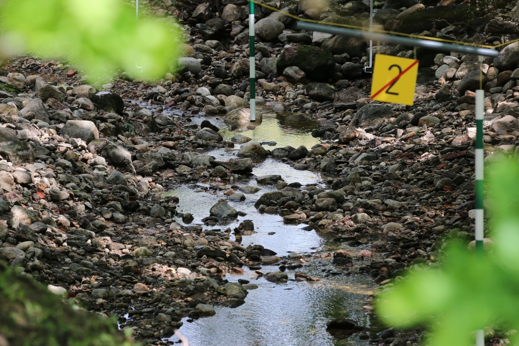 Aizvadītajās brīvdienās smilteniešiem un pilsētas visiem bija iespēja pie Tepera promenādes un Vecajā parkā vērot Latvijas kausa 2. posmu airēšanas slalomā. Seklais Abuls  bija pārvērties par aizraujošu upi dalībniekiem. Taču tas, kādu upes posmu un arī Vidusezeru smiltenieši ieraudzīja pēc tam, bija nepatīkams pārsteigums.                                              
Autors:  SANTA SINKA