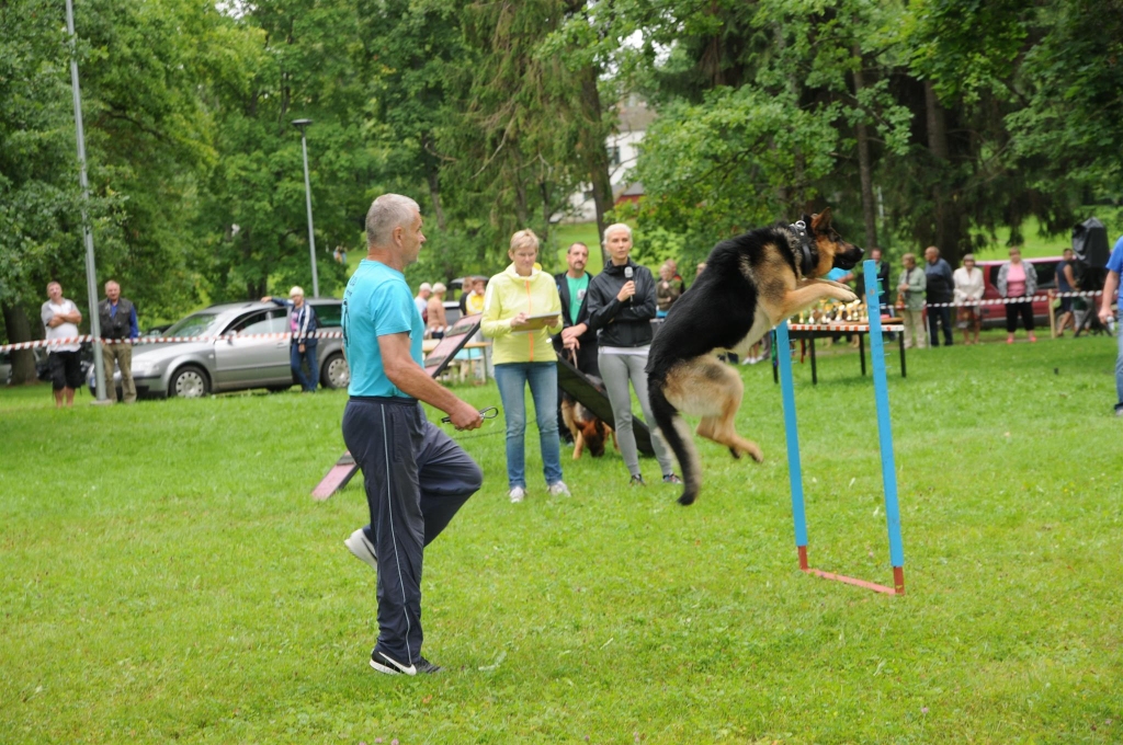 Sestdien Valgas Kara vēstures un militārā festivālā daudzveidīgo pasākumu klāstu papildinās arī sacensības Latvijas nacionālajā suņu daudzcīņā. Valkas treneris un daudzkārtējais sacensību godalgu ieguvējs Jānis Ķēbers aicina valcēniešus šajā vasaras svelmē atbalstīt četrkājainos sportistus.  
Autors: INGA KARPOVA
