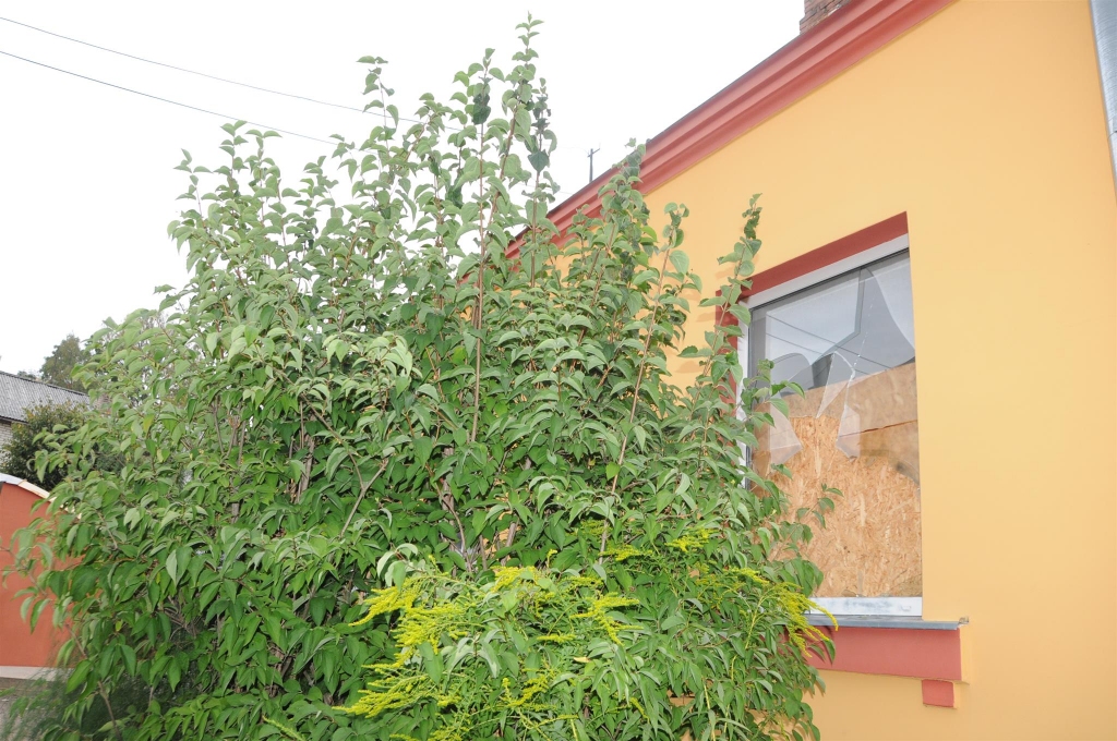 Naktī no svētdienas uz pirmdienu valcēniešu iecienītajam veikalam “Liepa” pagaidām vēl nezināmi ļaundari izsituši divus logus. Veikala īpašnieks Ilmārs Akmentiņš uzskata, ka tas darīts ar mērķi aplaupīt tirgotavu. 

Autors:   INGA KARPOVA 