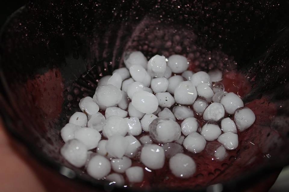 Jērcēnu ciems šo pirmdien bija viena no tām retajām vietām Latvijā, kur tika piedzīvota krusa. Ledus bumbiņas  bija prāvu zirņu lielumā, lūk, šādas tās bija sabirušas uz jērcēnietes Gintas Gailītes balkona. 
Autors: Ginta Gailīte