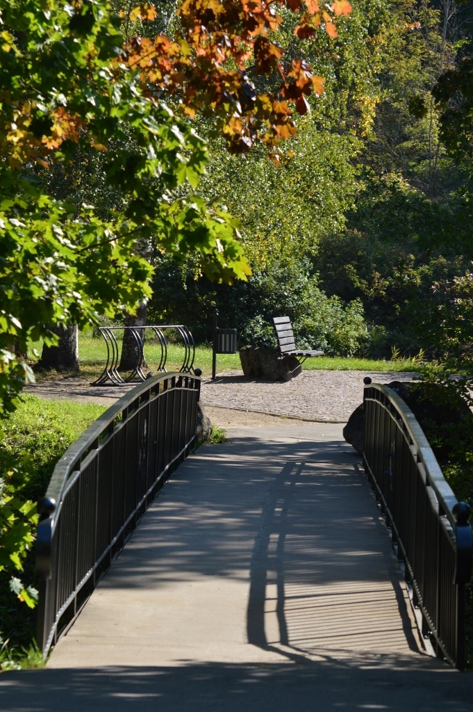 Smiltenes Vecais parks kļūst arvien skaistāks un sakoptāks. Viens no jaunumiem ir atjaunotās margas gājēju tiltam pār Abula upi, kuras rotā Smiltenes novada simbols rudzupuķe. 
Autors: Sandra Pētersone