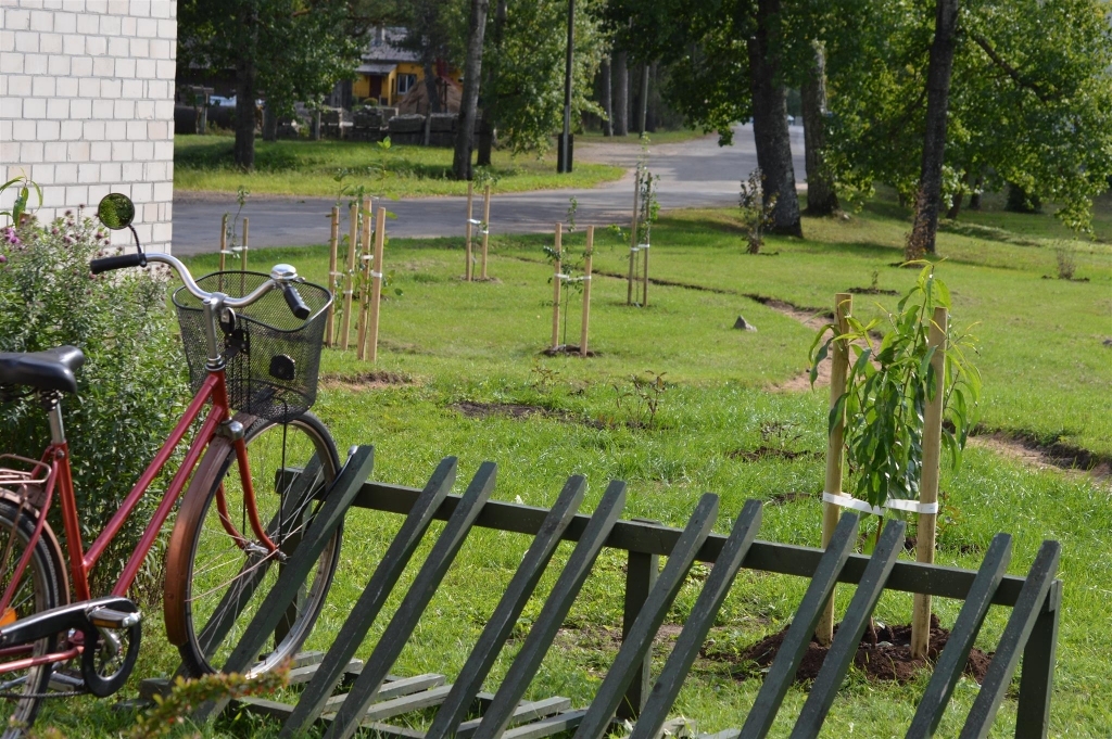 Strenču centrā  šomēnes ierīkotais augļu dārzs jeb skvērs ne tikai pilsētas vizuālo tēlu padarījis vēl patīkamāku, bet arī  piedāvā ērtāku pārvietošanos starp Jāņa Ziemeļnieka un Rīgas ielu. 
Autors: Sandra Pētersone