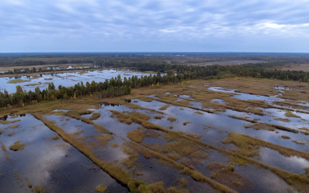 Autors: Vladimirs Brjuņins
