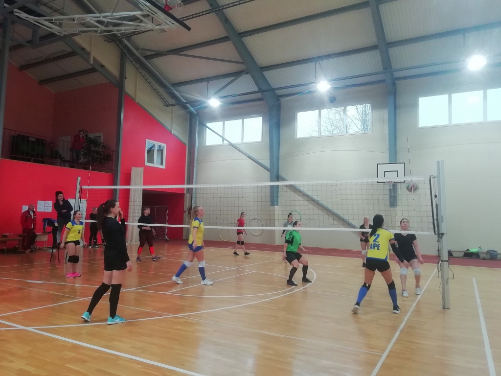 Autors:  Elīna Blīgzna