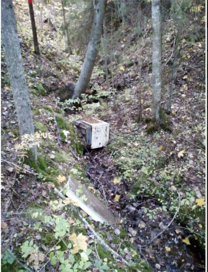 Šis ledusskapis, kas pieder bīstamajiem atkritumiem, mežā netālu no Silvas ciema, Silenieku ceļa malā, gulējis ilgi, jo paguvis apsūnot, bet dziļajā gravā to  bijis grūti pamanīt. Pateicoties kāda iedzīvotāja padotajai ziņai “Vides SOS” aplikācijā un akciju sabiedrības “Latvijas valsts meži” ātrai reakcijai, ledusskapis no meža ir aizvests.                   
Autors:  NO PERSONĪGĀ ARHĪVA