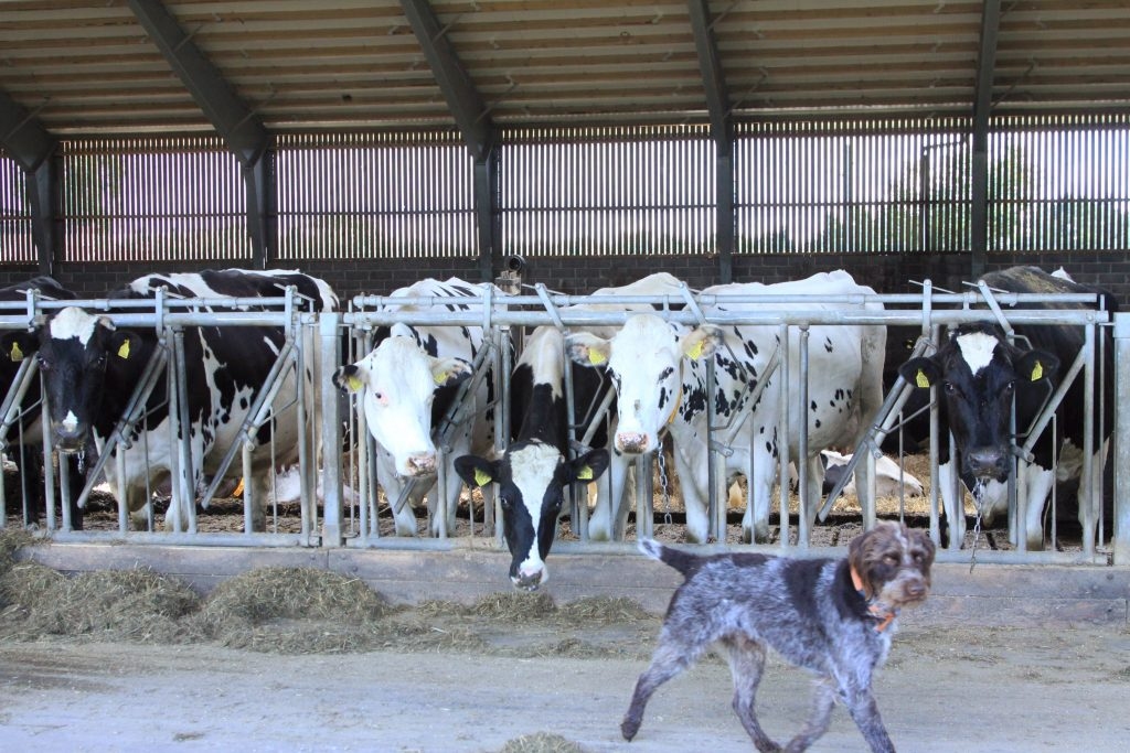 Autors: Karīna Miezāja