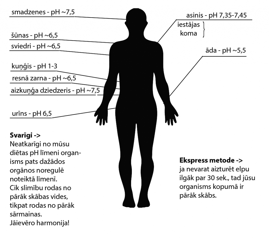 Dažādos mūsu ķermeņa orgānos pH ir atšķirīgs, viszemākais – kuņģī, jo tam ir jāspēj pārstrādāt barību un iznīcināt organismam bīstamās baktērijas