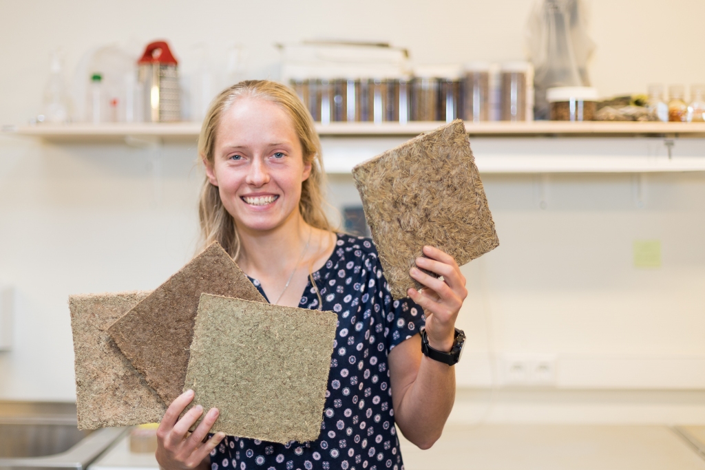 Autors:  Elīna Karaseva