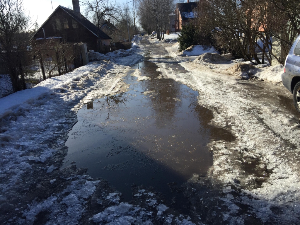 Kad vienu dienu strauji kūst, bet otru – piesalst, Pedeles iela Valkā, tāpat kā vēl daudzas citas nelielas privātmāju ieliņas, pārvēršas par neizbrienamām peļķēm vai slidotavām.                                                     
Autors:   INGŪNA JOHANSONE