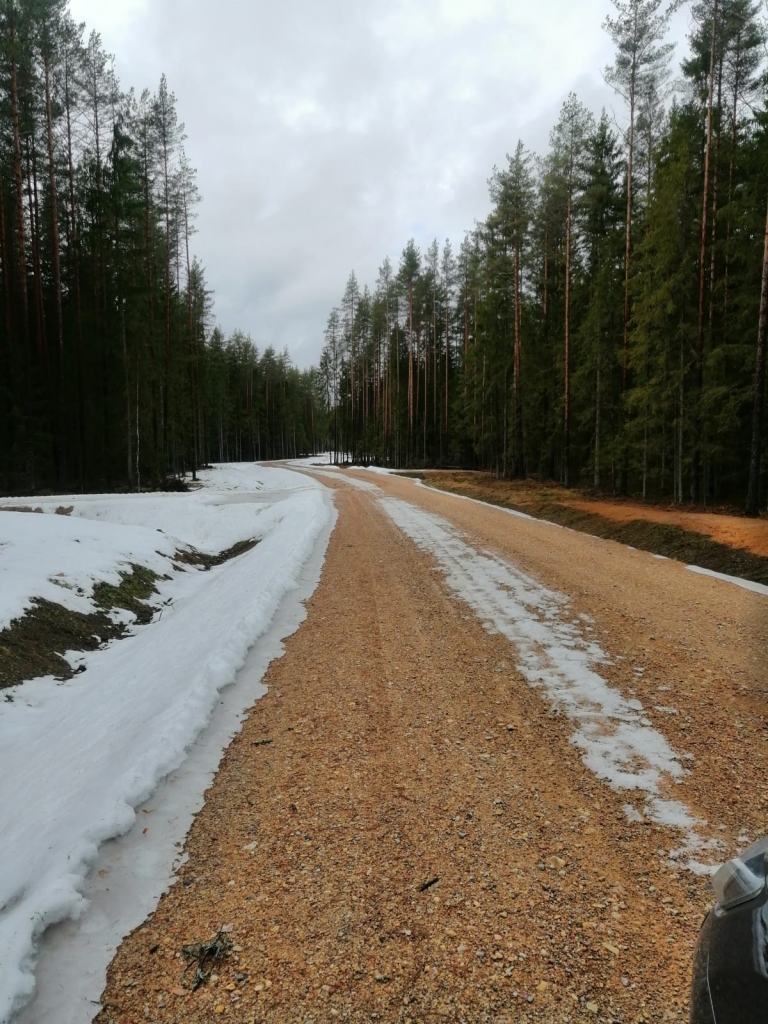 Pēc akciju sabiedrības “Latvijas valsts meži” pasūtījuma netālu no Palsmanes izbūvēts jauns meža autoceļš ar drupinātas grants segumu. Šo vietu iecienījuši palsmanieši, lai nūjotu vai pastaigātos.                 
Autors:  ARNIS ČAMS