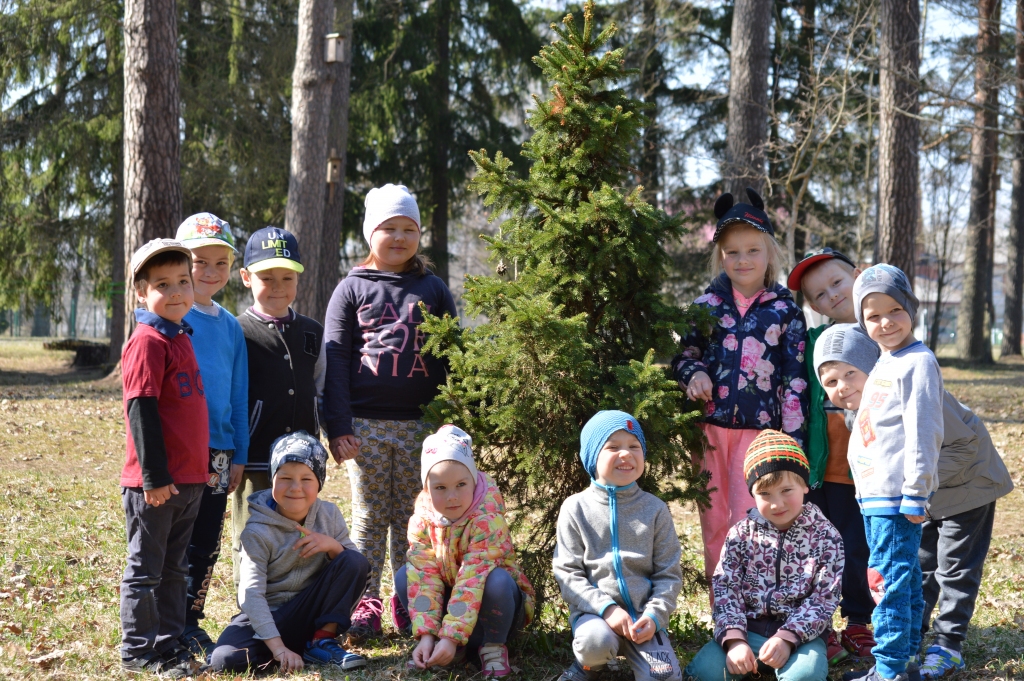 Palsmanes pirmsskolas izglītības iestādes audzēkņi vēl nezina, kas ir rododendri un kādi tie izskatās, bet kad šos mūžzaļos augus iestādīs bērnudārznieku iecienītajā pastaigu vietā netālu no viņu Ziemassvētku egles, tad bērniem būs jauna izzināma tēma dabas nodarbībās.                                                                               
Autors:  SANDRA PĒTERSONE