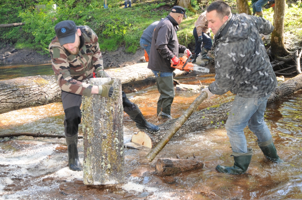 Lai sagarinātu un no Pedeles upes izceltu sazāģētos bluķus, noderēja pašvaldības deputāta Agra Krastiņa, novada domes priekšsēdētāja Venta Armands Kraukļa un valcēnieša Viktora Rosolovska prasmes un spēks. 
Autors:   INGA KARPOVA