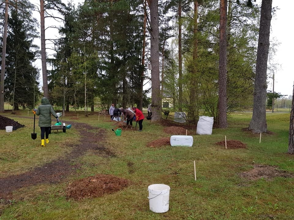 Uz rododendru stādīšanas talku Palsmanē ieradās dažādu vecumu cilvēki – jaunieši,  vidējā paaudze, seniori. Stādi nopirkti par cilvēku ziedojumiem.                                                                                                                 
Autors:  ILZE MIZE