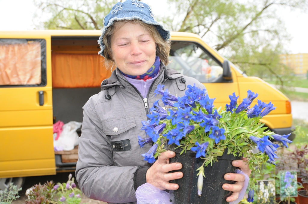 Puķu stādu tirgotāja Valentīna ir vienīgā Lietuvā, kas audzē daudzgadīgo puķi gentiana, sauktu arī par ziemas petūniju.
