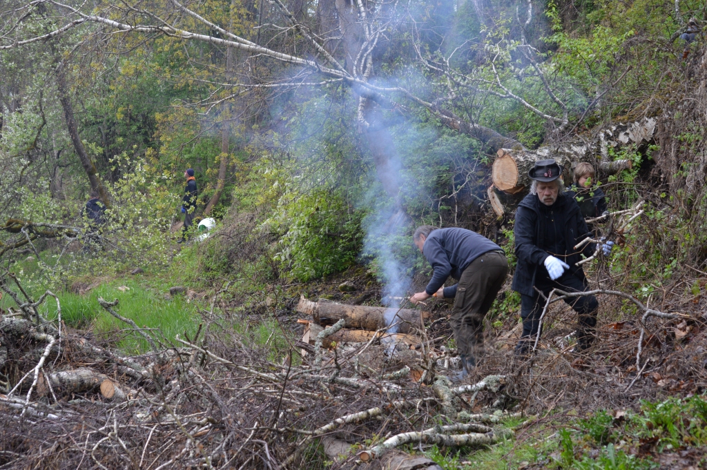 Pirmā aktivitāte Dabas aizsardzības pārvaldes piedāvātajā pasākumu ciklā “Piedzīvojums Ziemeļgaujā” notika Apes novada Vidagā, kur talcinieki no apauguma atbrīvoja Sikšņu klintis. 