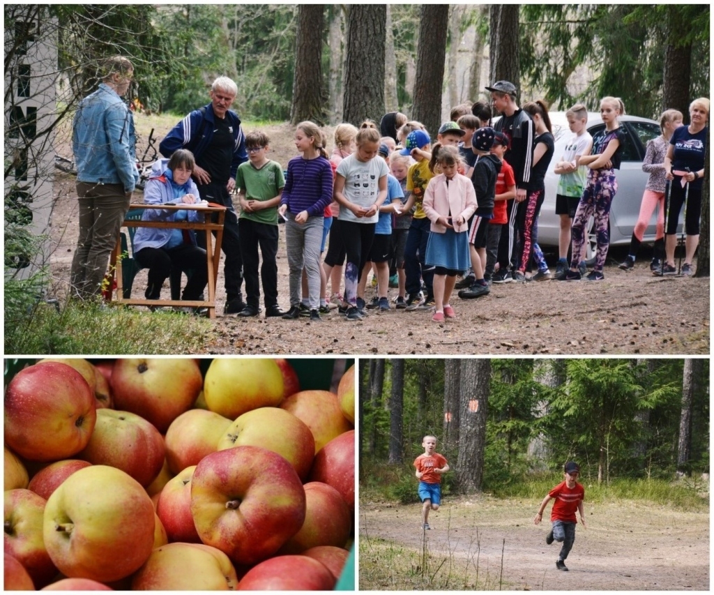 Vislielākā masveidība pavasara posma “Optimistā” vērojama jaunākajās vecuma grupās gan zēniem, gan meitenēm.                                                                                                                                                                               
Autors:   DACE PŪCE
