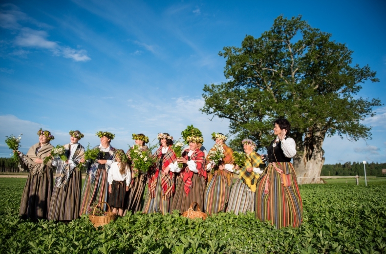 Autors:  Baiba Palkavniece