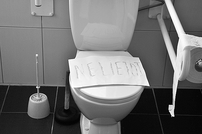 Autors:  DAINIS ĢELZIS