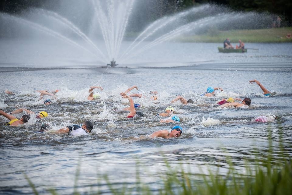 Autors: AGNIS MELDERIS