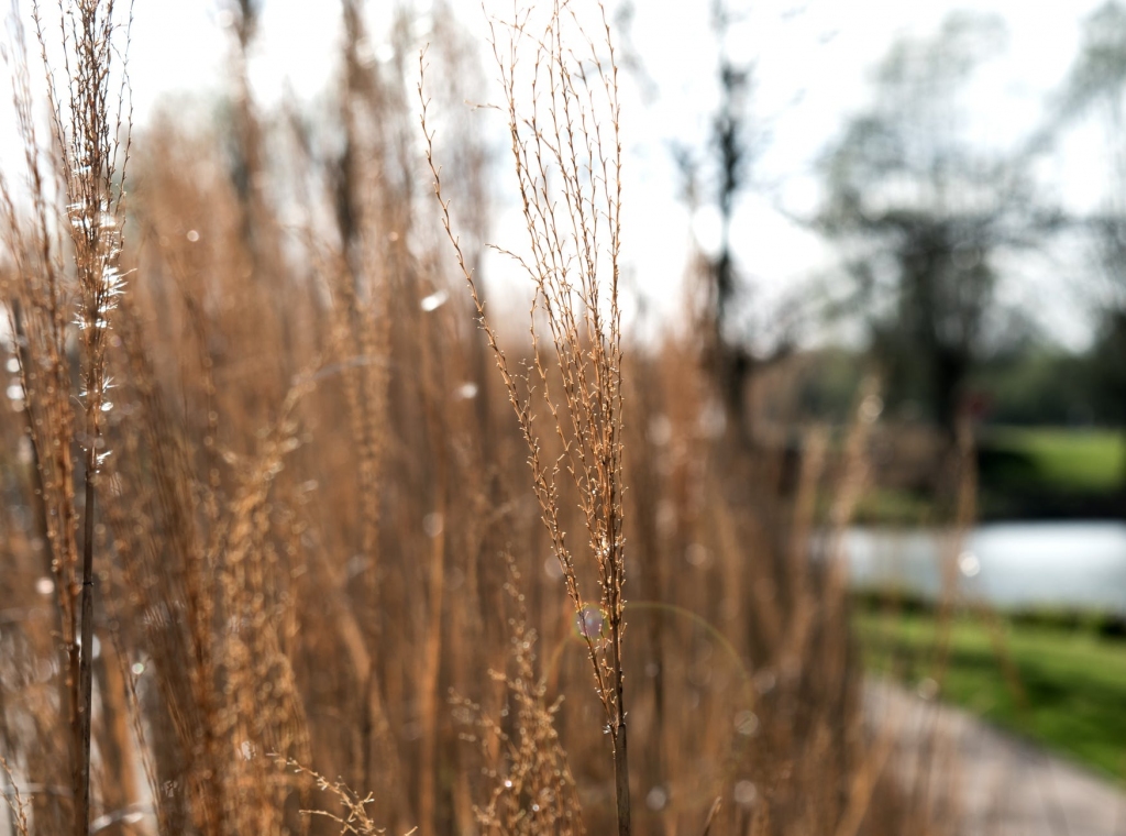 Autors: www.pexels.com