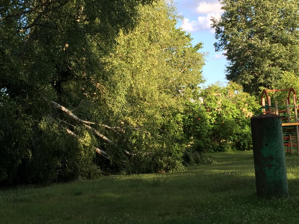 Aizvadītajā piektdienā īsi pirms pusdienas laika Valkas speciālās pirmsskolas izglītības iestādes “Pumpuriņš” teritorijā nolūza varens bērzs. Bērnudārza darbinieki atzīst, ka piedzīvojuši īstu šoku, bet priecājas, ka teritorijā tobrīd neatradās neviens bērns vai darbinieks.                                                                                      
Autors: INGŪNA JOHANSONE
