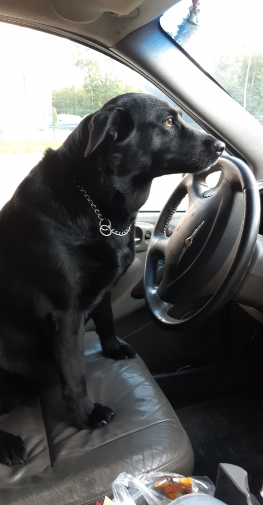 Vasarā vienmēr pirmā doties peldēt!
Autors: Letīcija Ķīkule