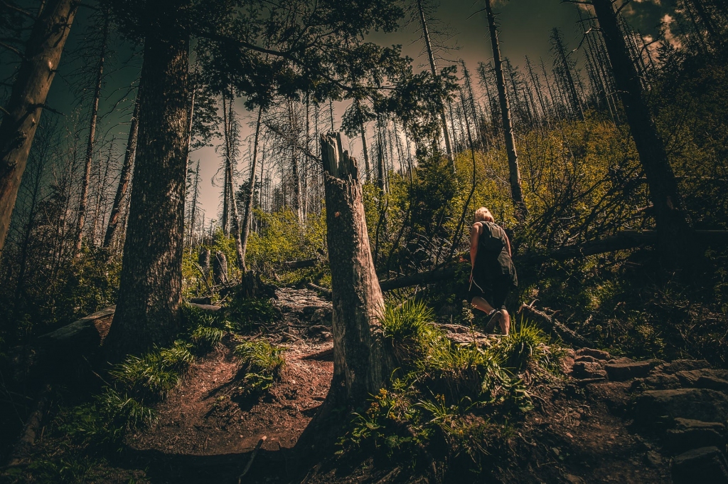 Autors: www.pexels.com