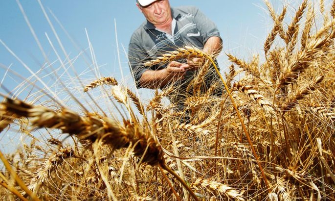 Autors: Reuters/ScanPix