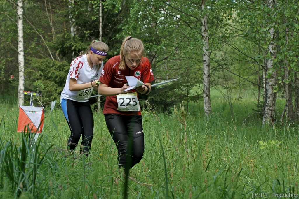 Autors: [MiD7] production