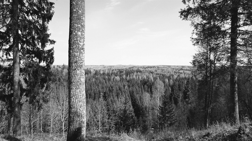Autors:  Eva Pričiņa