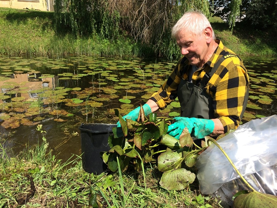 Patīkami pārsteigts par skaisti sakopto un labiekārtoto Smiltenes Veco parku, ķekavietis Egils Krieviņš savai bērnības pilsētai uzdāvināja vēl kādu skaistumu – ūdensrozes, ko pats arī iestādīja kanālā (attēlā) un dīķī pie viesnīcas “Brūzis”.                                                                                                                                                           
Autors:  AGIJA KUKAINE