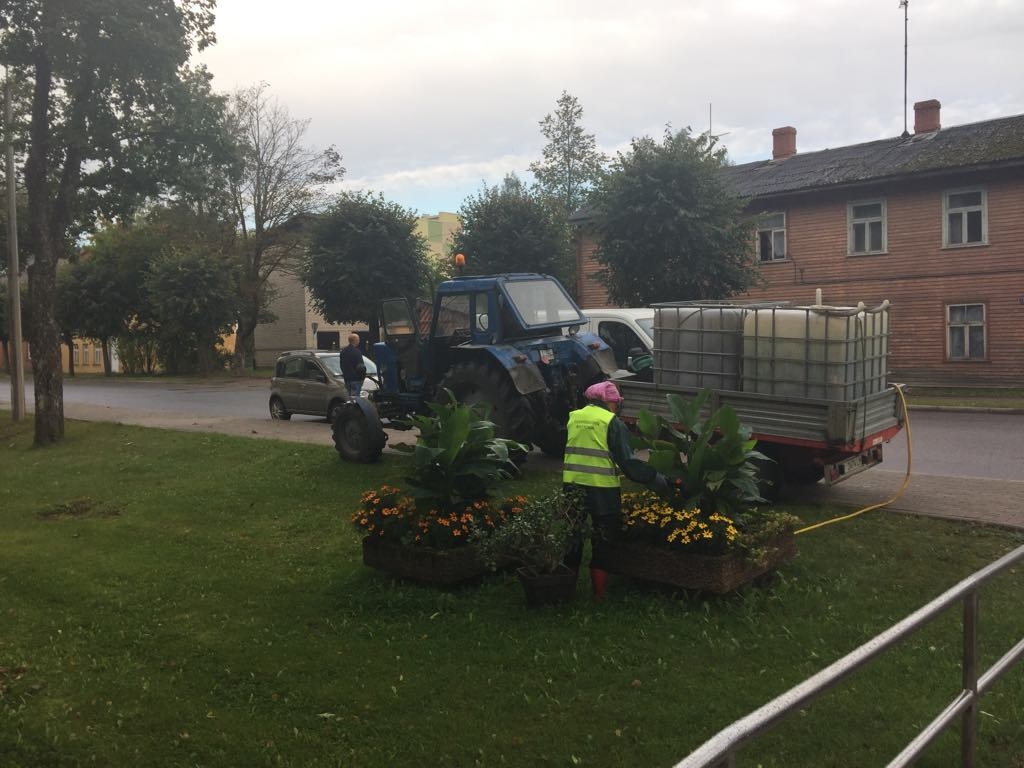 Šogad Valkas pilsētas apstādījumi zied bagātīgi un koši. Tas ir pateicoties ne tikai regulārai laistīšanai, bet arī augu barošanas līdzekļu lietošanai.                                                                                            
Autors:  INGŪNA JOHANSONE