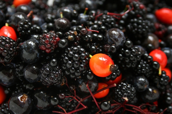 Autors: rachaellucas.com