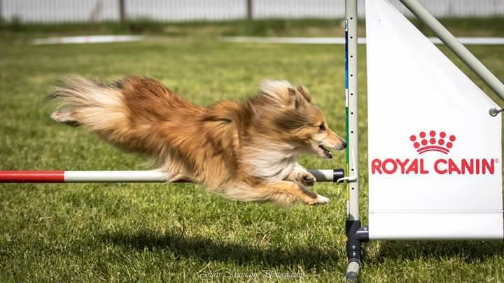 Autors: rigassvetki.lv