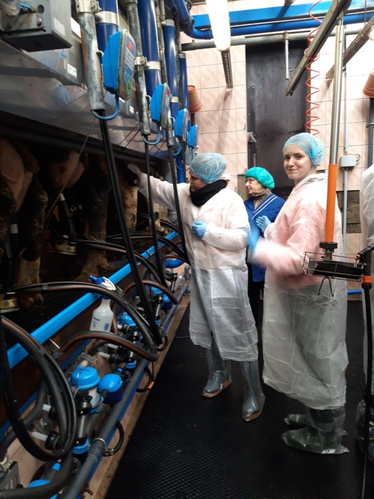 Šajā pašā konkursā zelta medaļas lopkopībā ieguva Smiltenes tehnikuma audzēknes Amanda Būce un Jolanta Ciganska.                        
Autors: PUBLICITĀTES FOTO