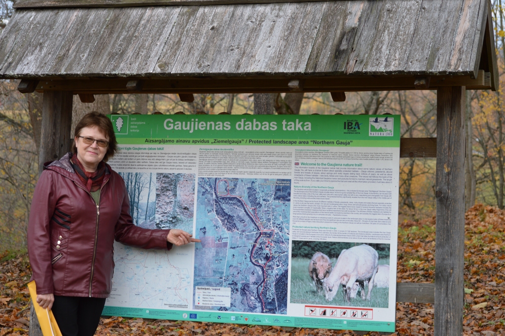 Autors: SANDRA PĒTERSONE