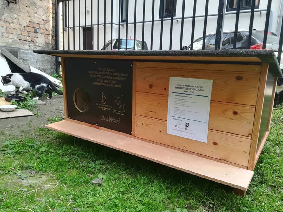 Autors:  Cat Care Community