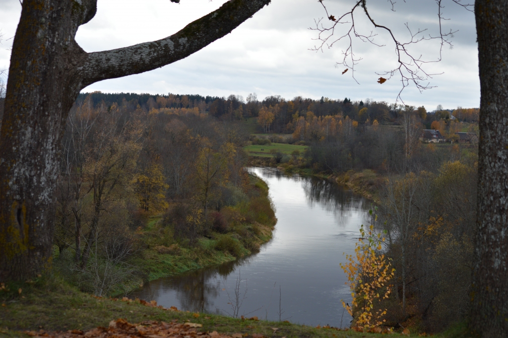 Gaujienā ir augstvērtīgas trīspakāpju ainavas –  tuvplāns,  nākamais līmenis un  tālā panorāma ar Gauju nogāzē. Sajūta ir iespaidīga,  – skatoties uz apvārsni, šķiet, dvēsele lido.                                                                                                                                                                                                                           
Autors:  SANDRA PĒTERSONE