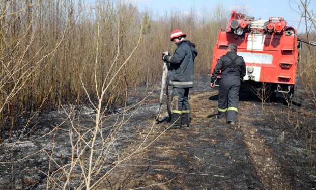 Autors: Gatis Bogdanovs