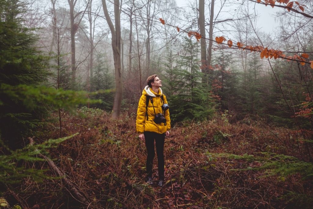 Autors: unsplash.com