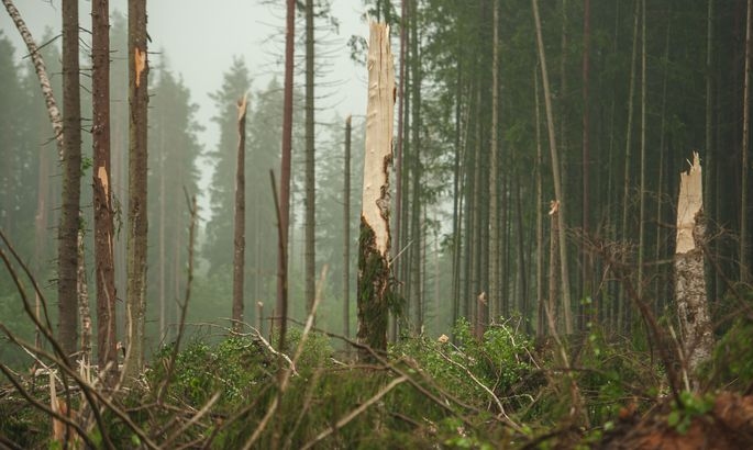 Autors: Jānis Škapars/TVNET