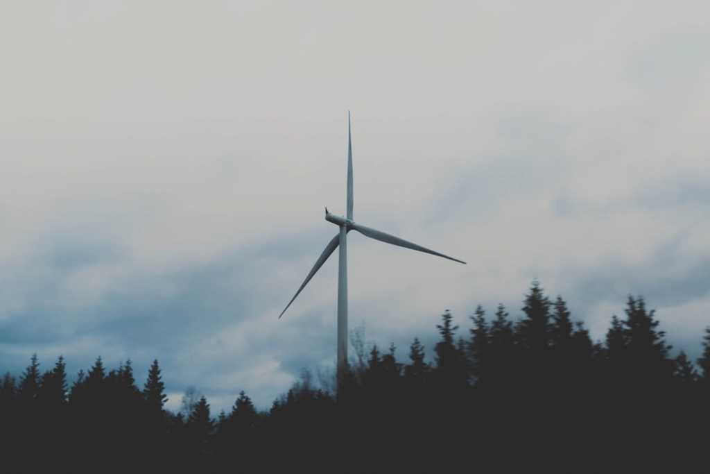 Autors: unsplash.com