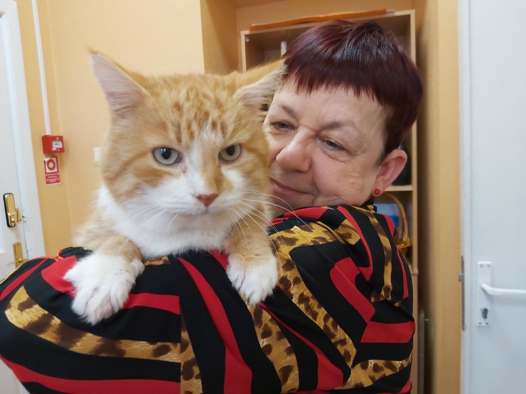 Valcēniete Daiga Putniņa nešaubās ne mirkli, ka Rūdis saprot visu, ko viņam saka. Viņš ir kā cilvēks kaķa kažociņā - iet kopā ar ģimeni uz darbu, veikalu, garāžu un dārzu.                                                                                                                                                                                                                                      
Autors:   INGŪNA JOHANSONE