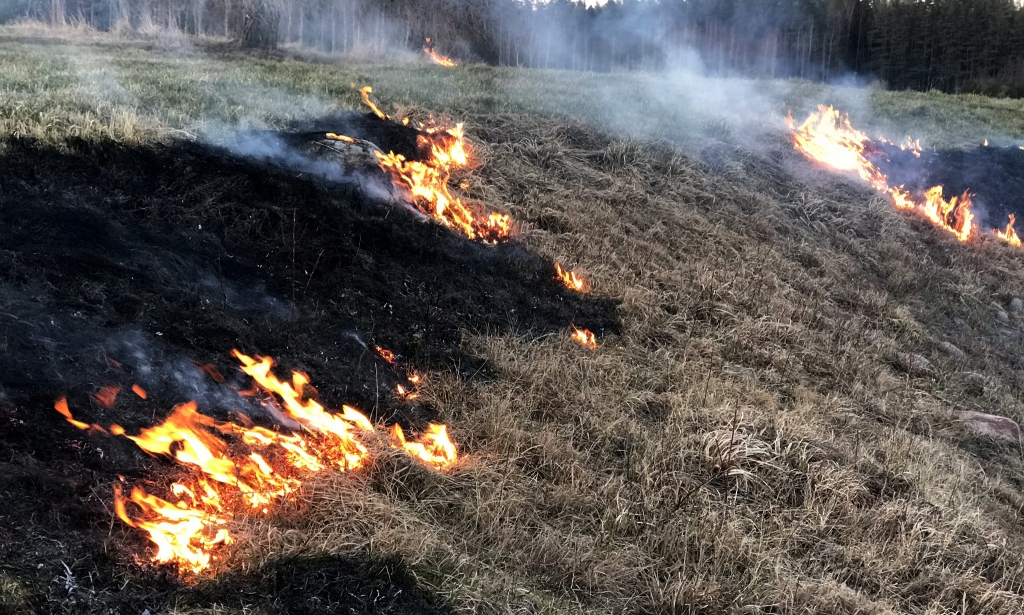 Autors: Ance Andrējeva-Empele