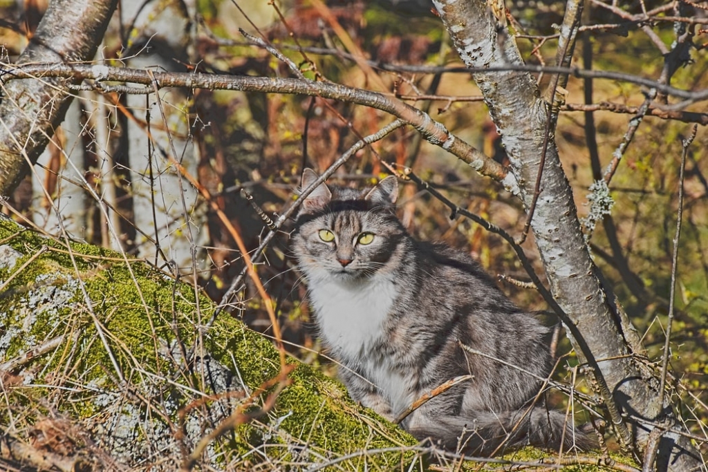 Autors: unsplash.com