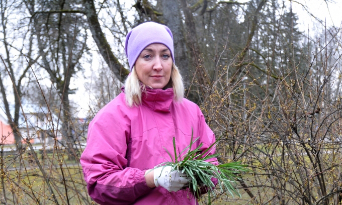 Šonedēļ Valkas pilsētas dārznieces amatā sāka strādāt Alita Plūksna. Vakar Lugažu parka apstādījumos viņa stādīja sniegpulksteņus. 
Autors: INGA KARPOVA