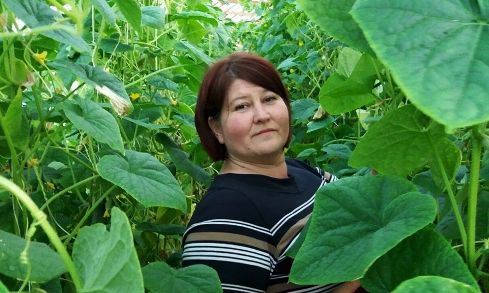 “Mazdāmu” siltumnīcās jau zied un zaļo